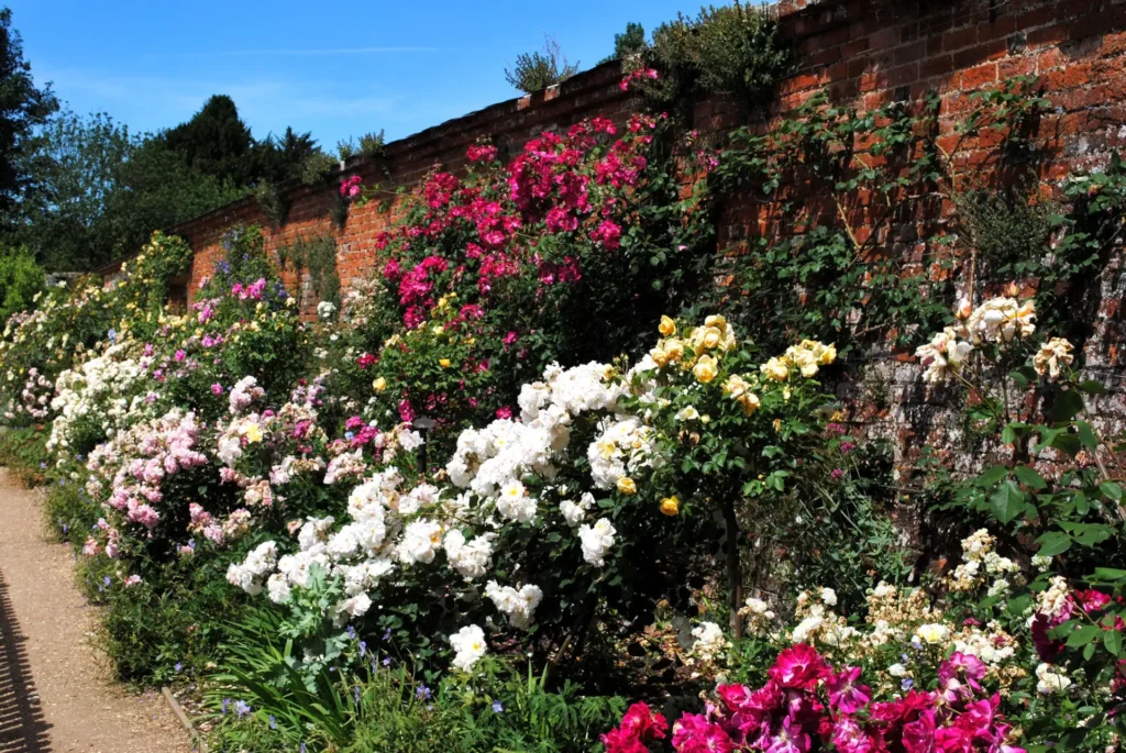 en_hampshire - en_hampshire_Mottisfont Abbey Walled Rose Garden_4797413362_75b3a49583_o resize