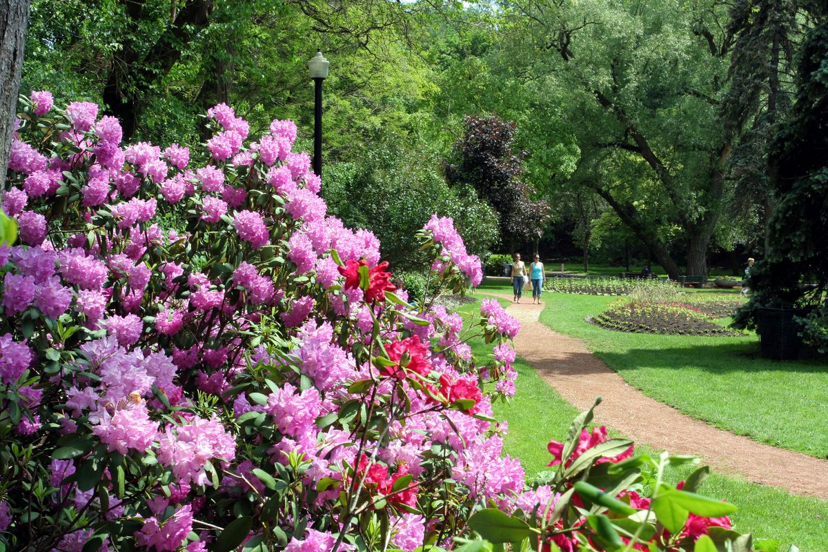 fallback - en_cornwall_rhododendron_park 001