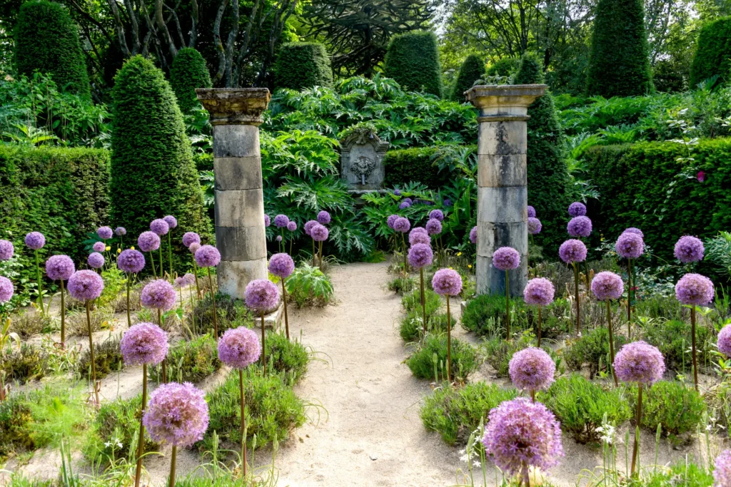 fr_normandie - fr_normandie_jardin agapanthe resize