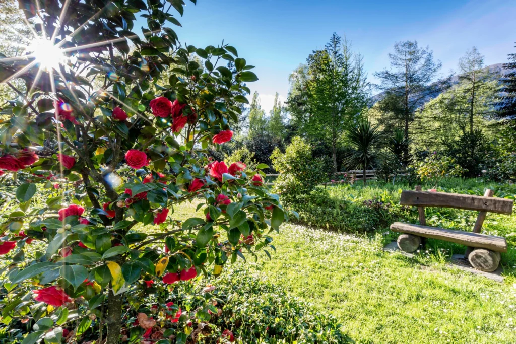it_lago-di-como-lago-maggiore - it_lago maggiore_Parco Camelie_Locarno_tourismAlessio Pizzicannella