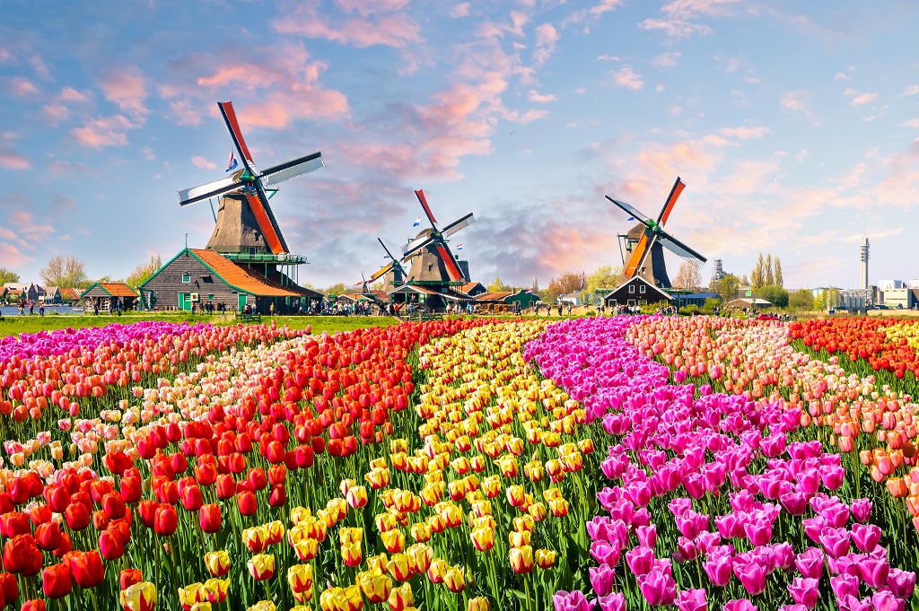 nl_holland - AdobeStock_137139944_1