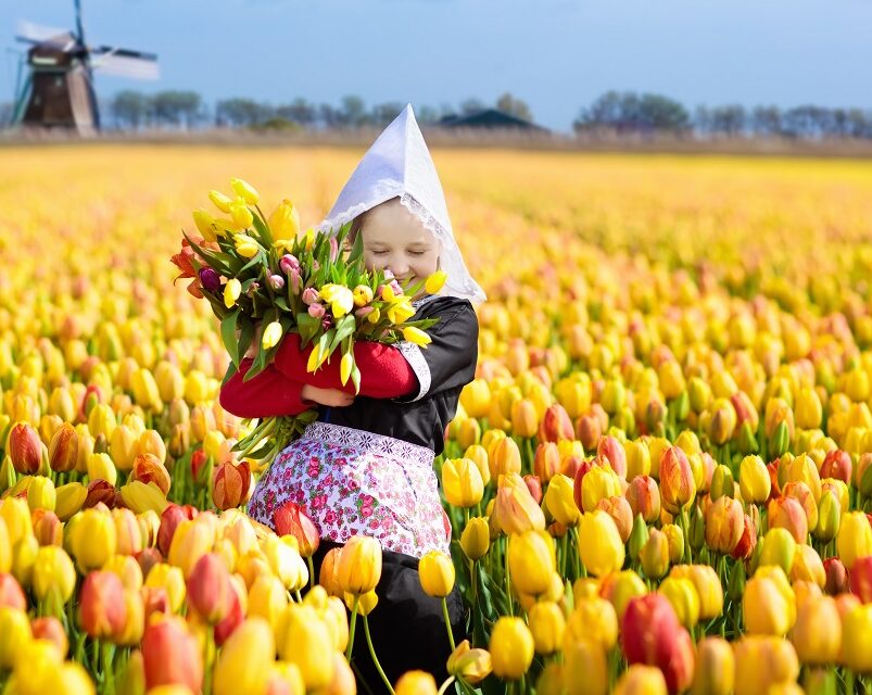 nl_holland - AdobeStock_203780812_1